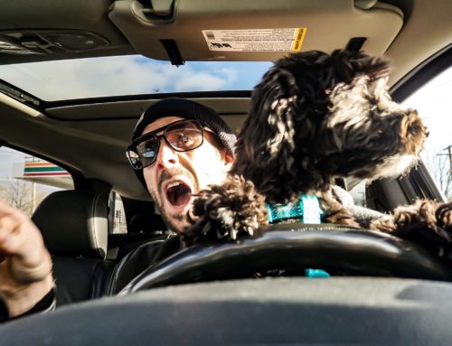 What Drivers Need to Know About Driving While High